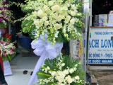 GIAO HOA VIẾNG BẾN LỨC TẬN NƠI TRONG 2H