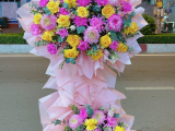 GIAO HOA CHÚC MỪNG - HOA KHAI TRƯƠNG BẾN LỨC | Hotline: 0919715666 - 0827808786