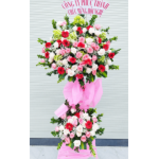 Hoa đồng tiền khai trương 