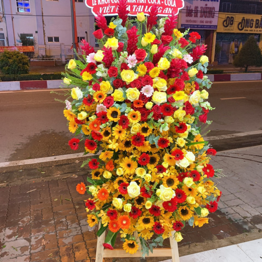 Hoa khai trương TCBL13
