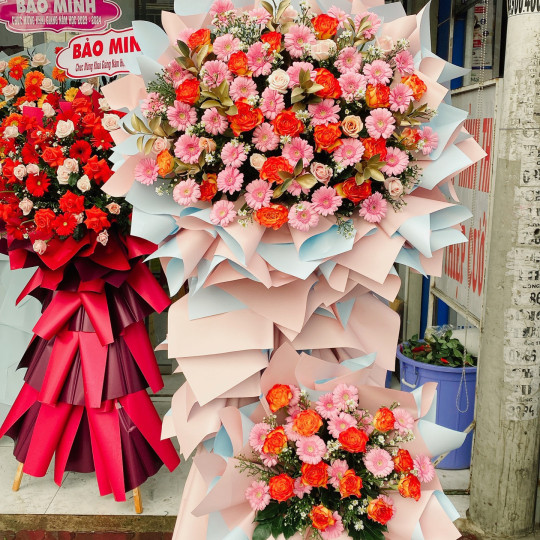 Hoa Khai Trương giá tốt Long An TC2