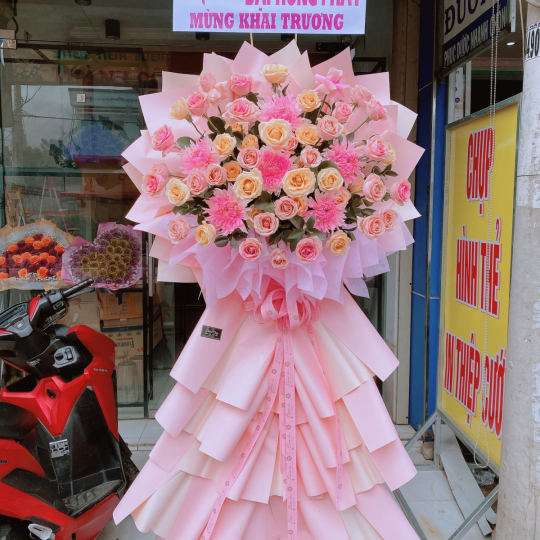 Hoa Khai Trương giá tốt Long An TC1 